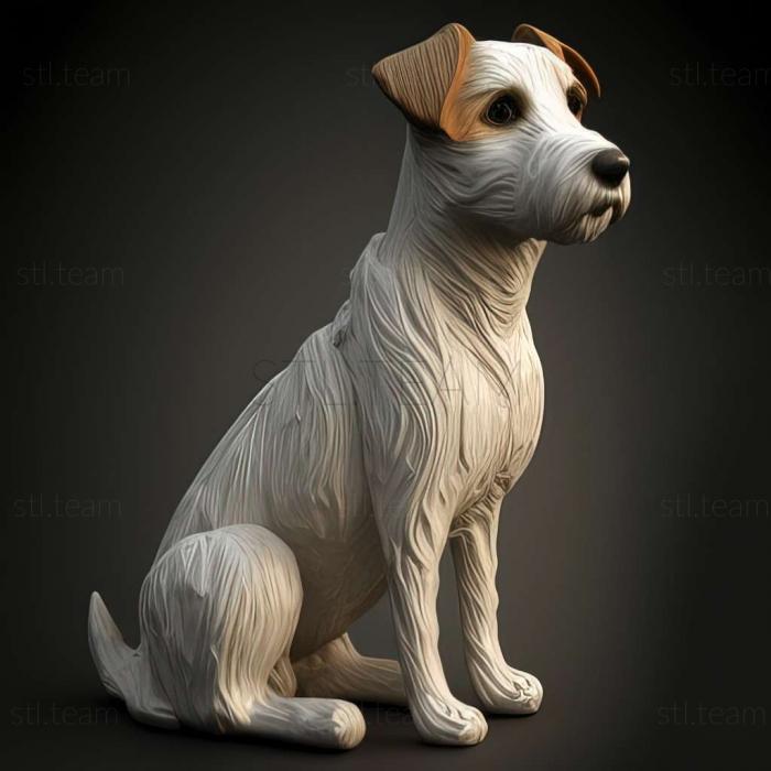 Parson Russell Terrier dog